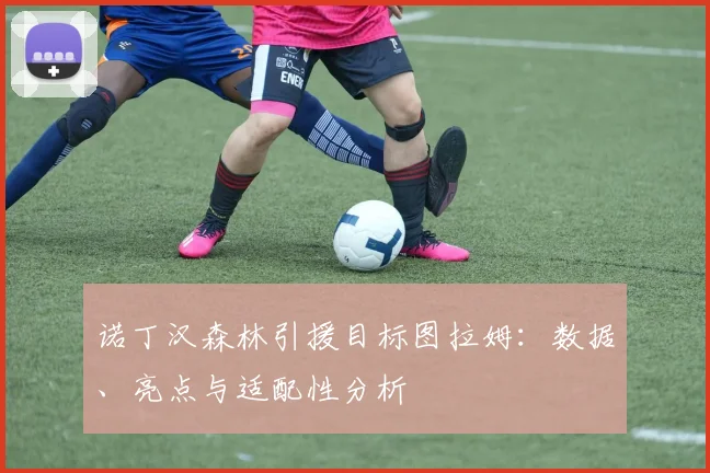 诺丁汉森林引援目标图拉姆:数据、亮点与适配性分析