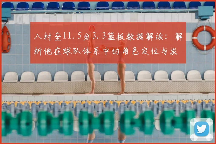 八村垒11.5分3.3篮板数据解读：解析他在球队体系中的角色定位与发展前景