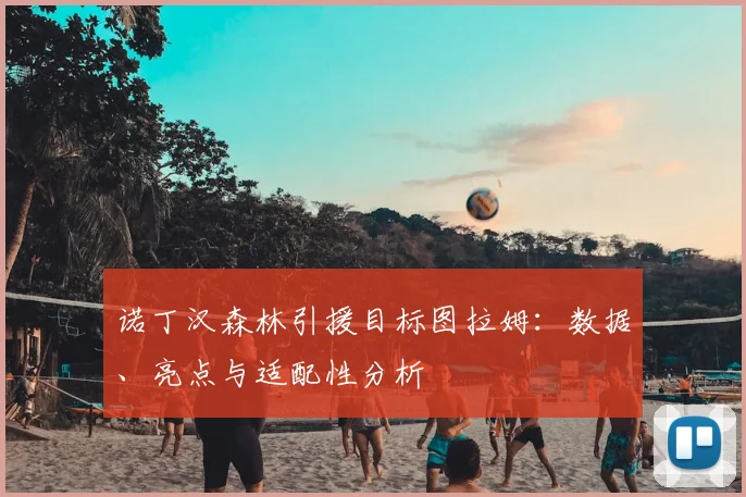 诺丁汉森林引援目标图拉姆：数据、亮点与适配性分析